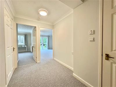 Picture 7